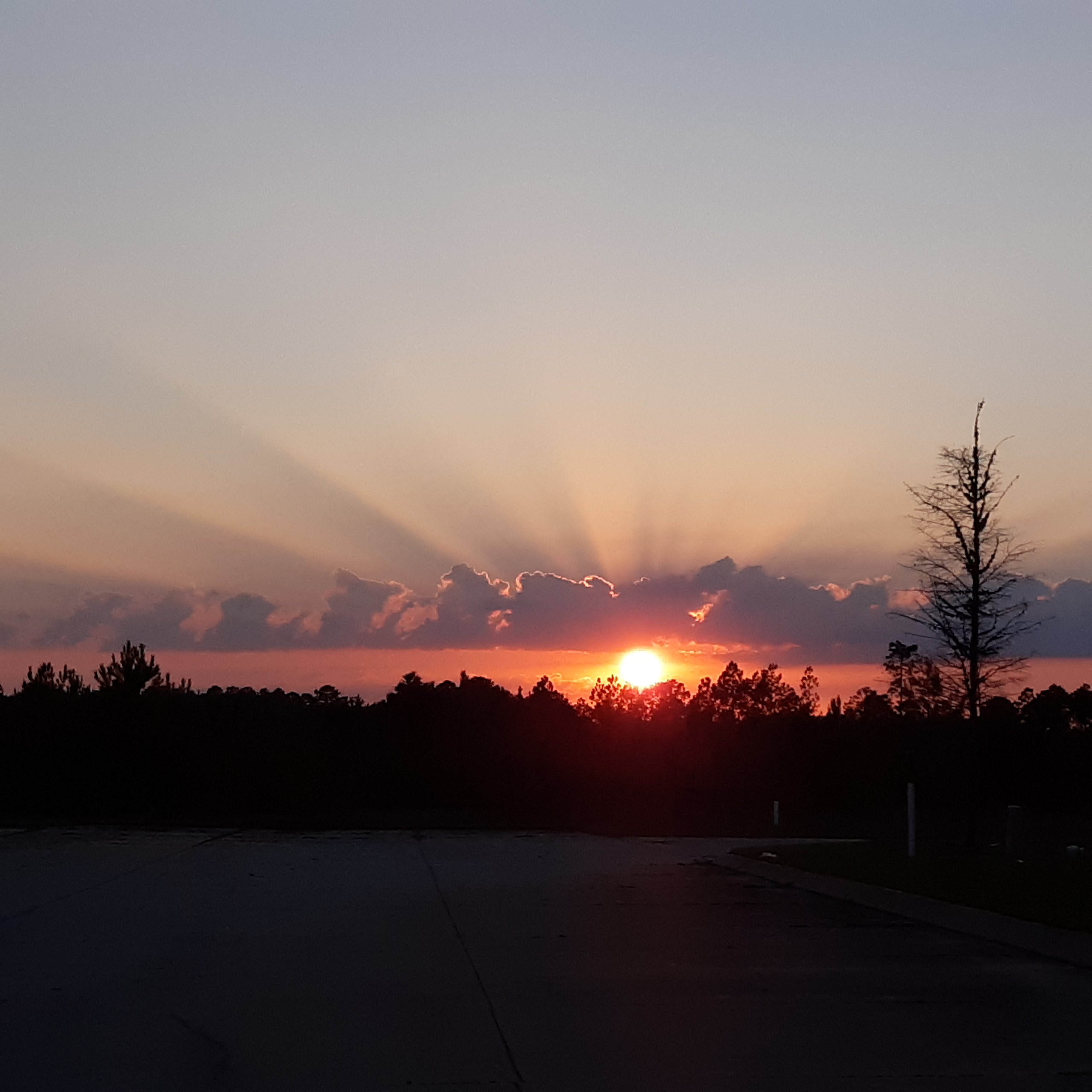 Dovettilgrove RV Park - Main photo